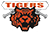 Cervignano - Tigers